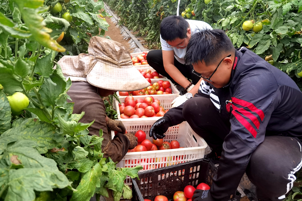 111 (4).jpg 111 (4).jpg